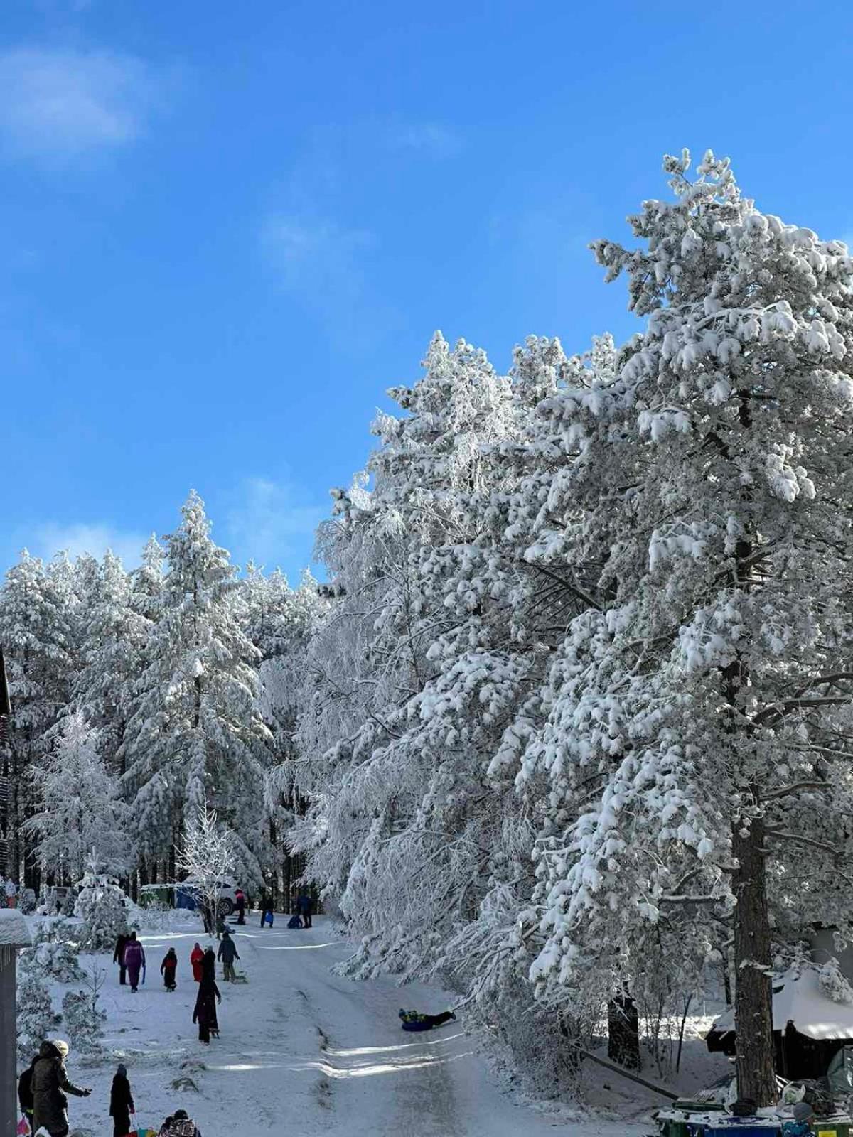 All Seasons Residence Zlatibor Exterior foto